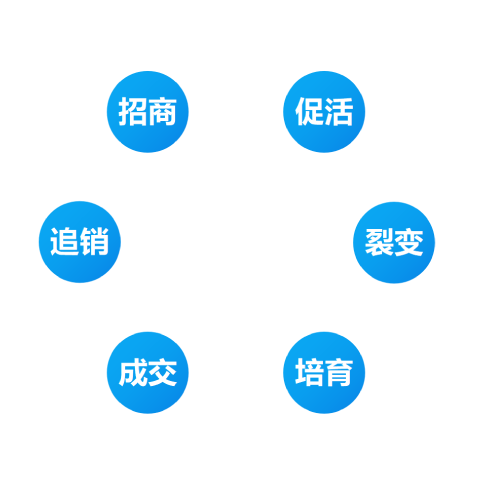 循环营销闭环,1个月，完成品牌流量x变现的循环营销闭环